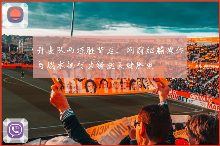 丹麦队两连胜背后:网前细腻操作与战术执行力铸就关键胜利 - 搜狐体育推荐