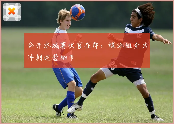 公开水域赛收官在即,蝶泳组全力冲刺运营细节 - 搜狐体育推荐