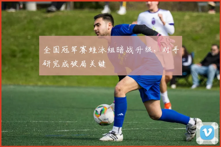全国冠军赛蛙泳组暗战升级,对手研究成破局关键 - 搜狐体育推荐