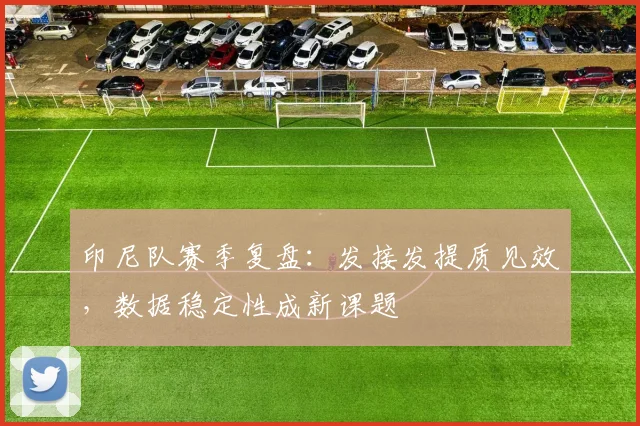 印尼队赛季复盘:发接发提质见效,数据稳定性成新课题 - 搜狐体育推荐