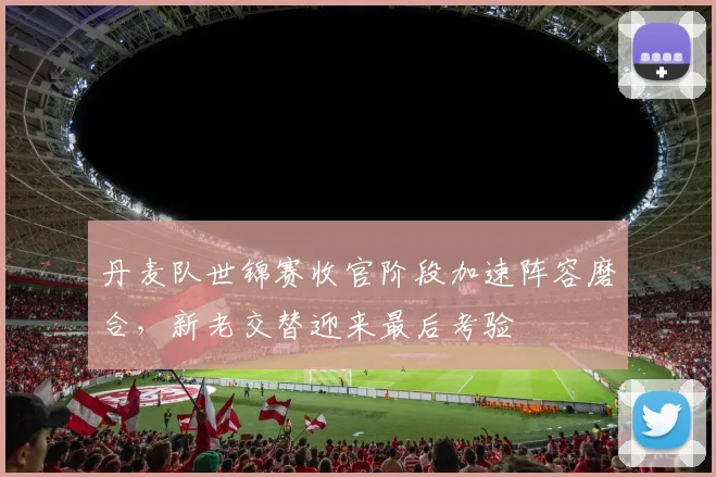丹麦队世锦赛收官阶段加速阵容磨合,新老交替迎来最后考验 - 搜狐体育推荐