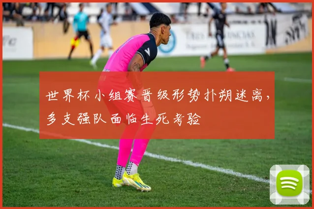 世界杯小组赛晋级形势扑朔迷离,多支强队面临生死考验 - 搜狐体育推荐